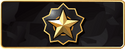 Distinguished Master Guardian Distinguished Master Guardian rank